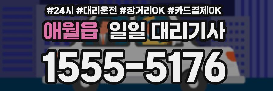애월읍 일일 대리기사