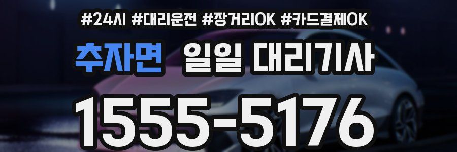 추자면 일일 대리기사