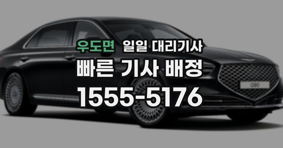 우도면 일일 대리기사
