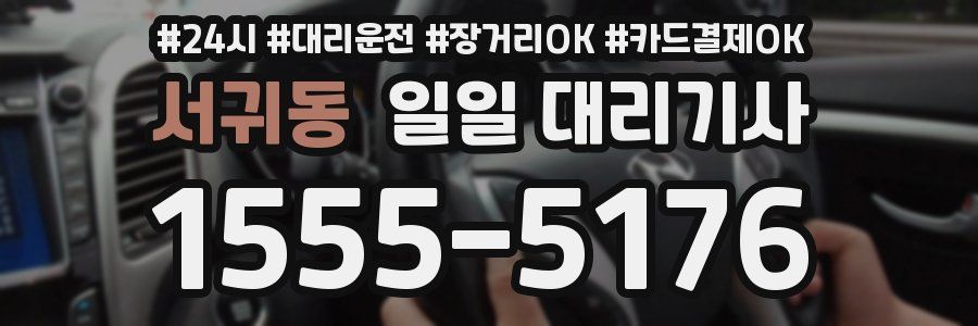 서귀동 일일 대리기사