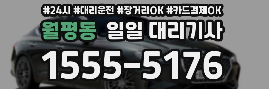월평동 일일 대리기사