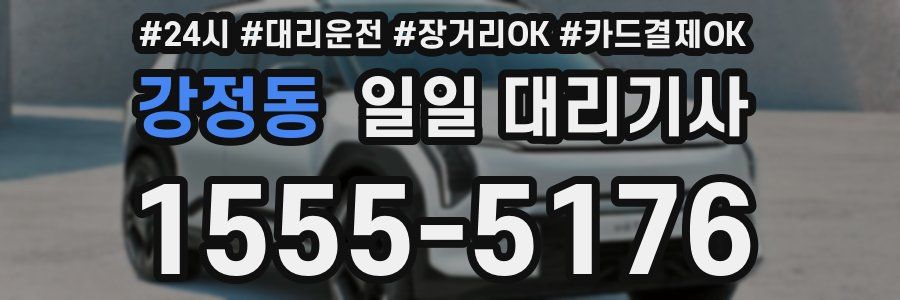강정동 일일 대리기사
