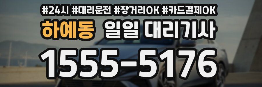 하예동 일일 대리기사