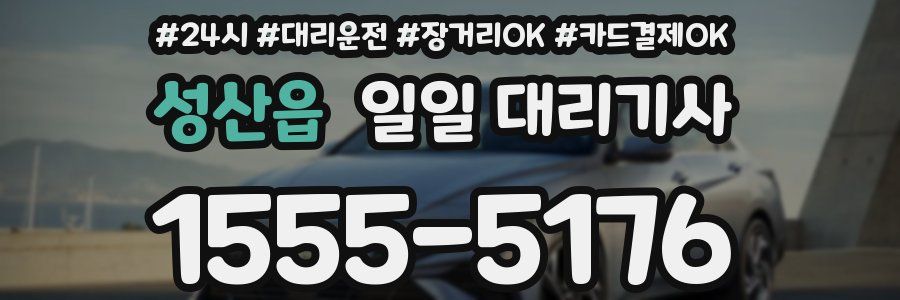 성산읍 일일 대리기사
