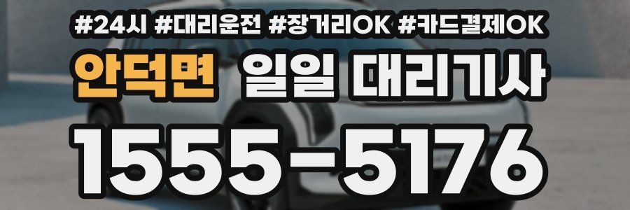 안덕면 일일 대리기사