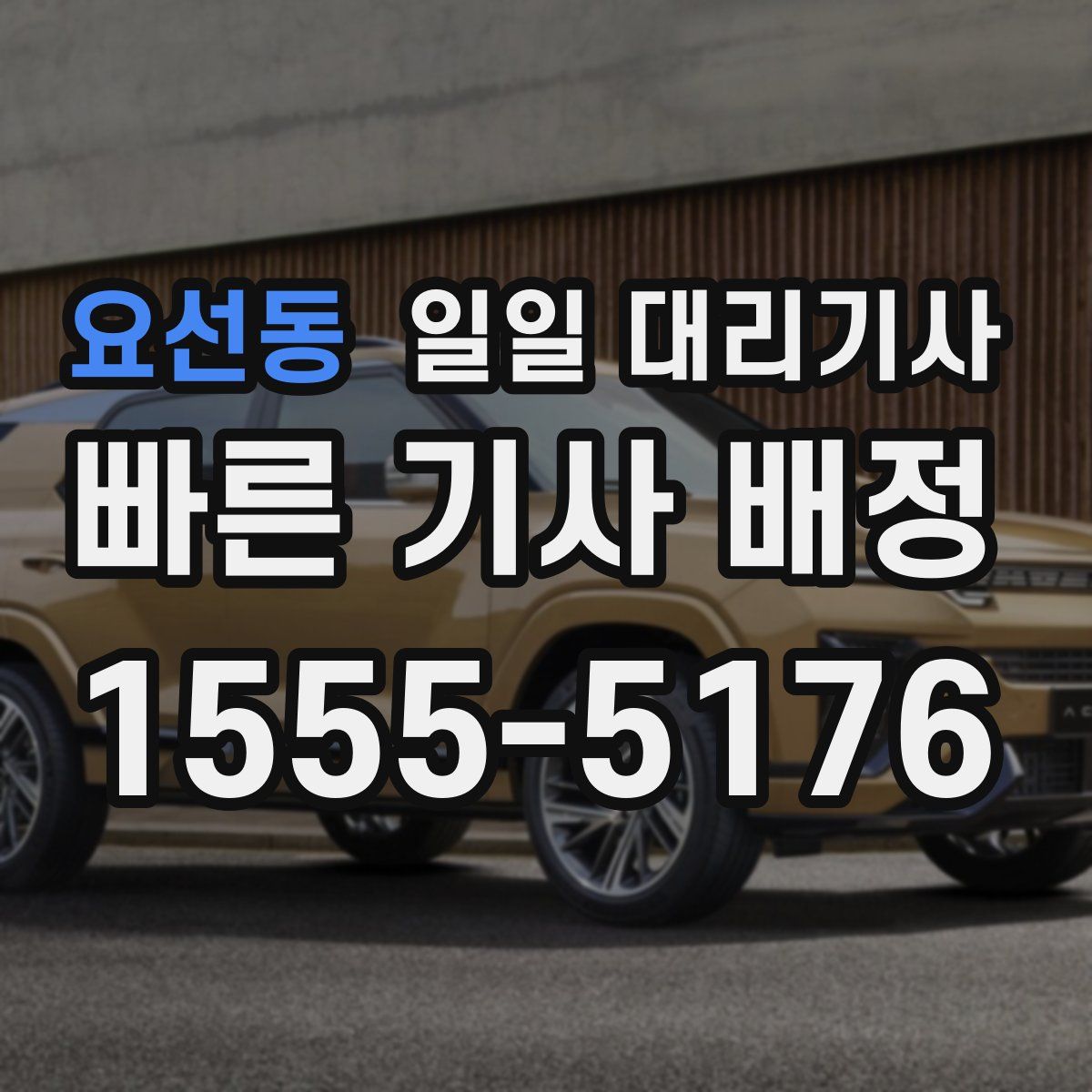 요선동 일일 대리기사