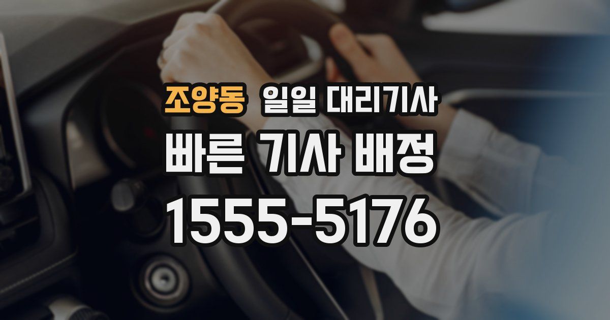 조양동 일일 대리기사