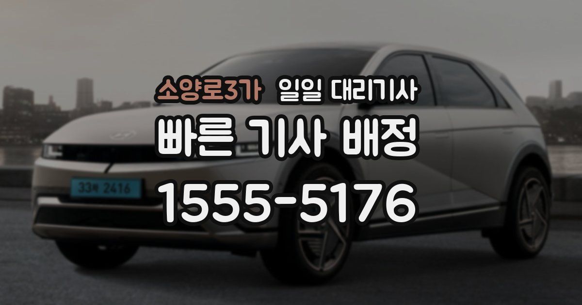 소양로3가 일일 대리기사
