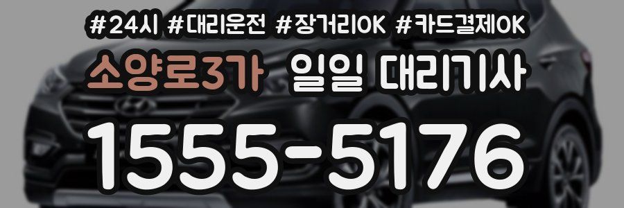 소양로3가 일일 대리기사
