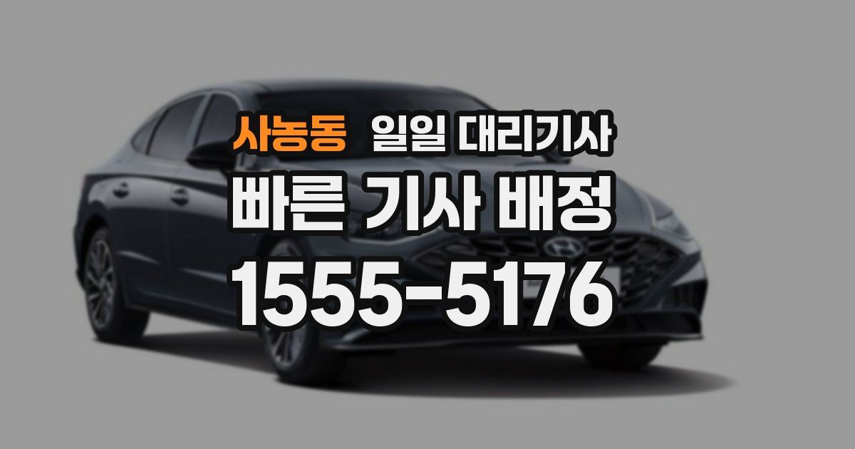 사농동 일일 대리기사
