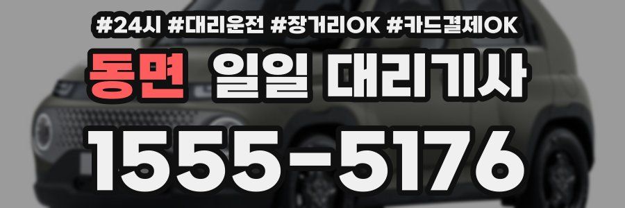 동면 일일 대리기사