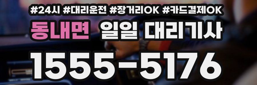 동내면 일일 대리기사