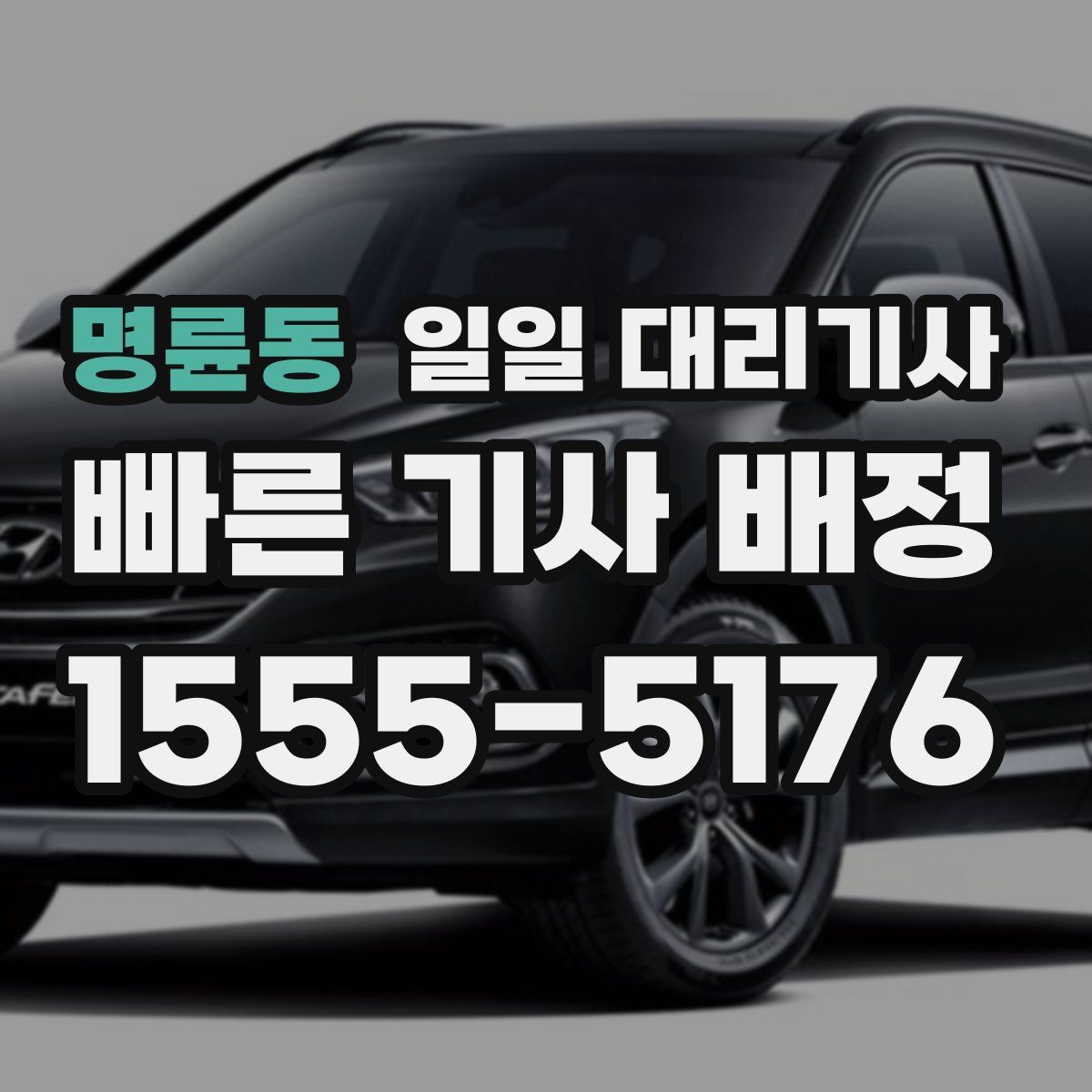 명륜동 일일 대리기사