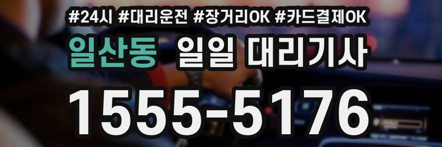 일산동 일일 대리기사