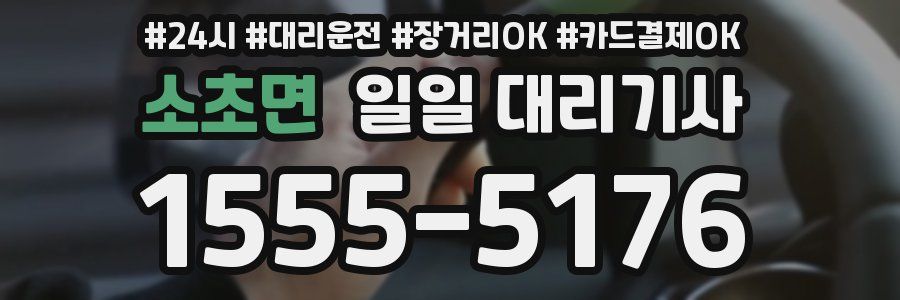 소초면 일일 대리기사