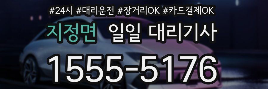 지정면 일일 대리기사
