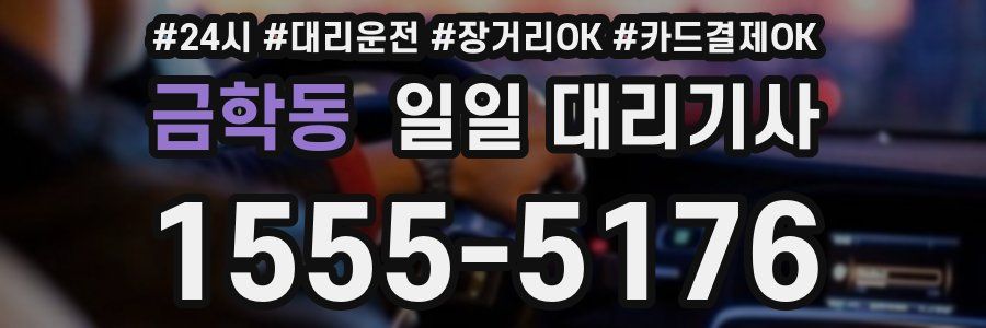 금학동 일일 대리기사