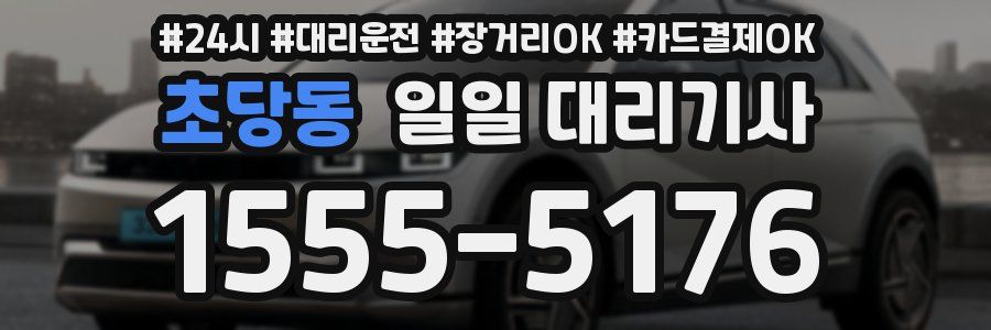 초당동 일일 대리기사