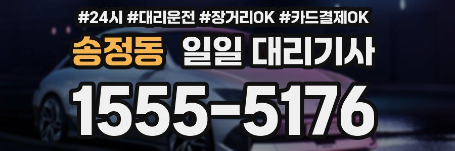 송정동 일일 대리기사