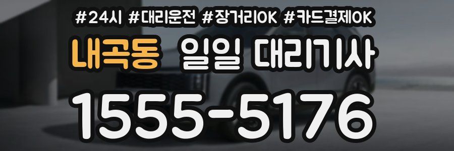 내곡동 일일 대리기사
