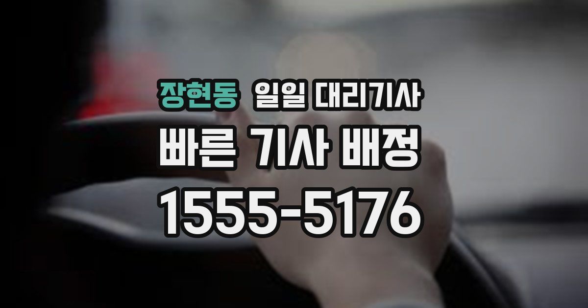 장현동 일일 대리기사