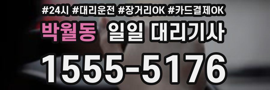 박월동 일일 대리기사