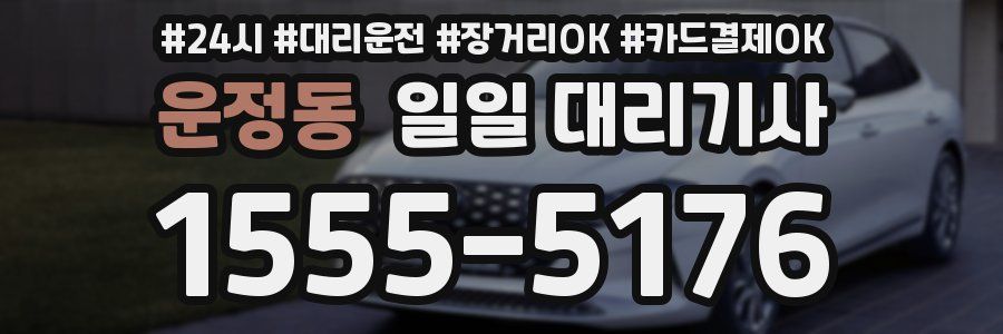 운정동 일일 대리기사