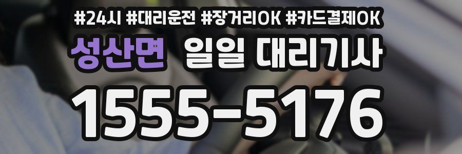 성산면 일일 대리기사