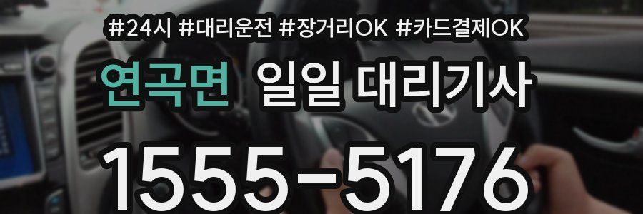 연곡면 일일 대리기사