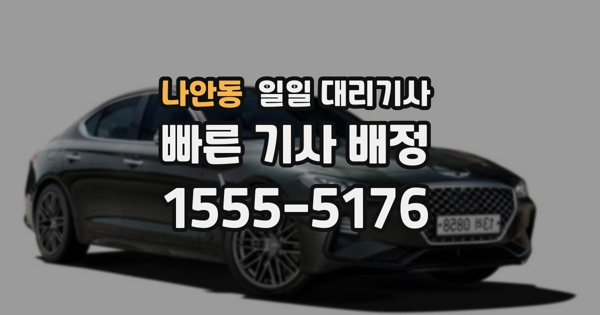 나안동 일일 대리기사