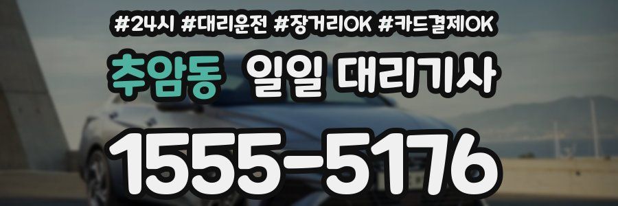 추암동 일일 대리기사