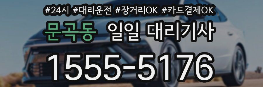 문곡동 일일 대리기사