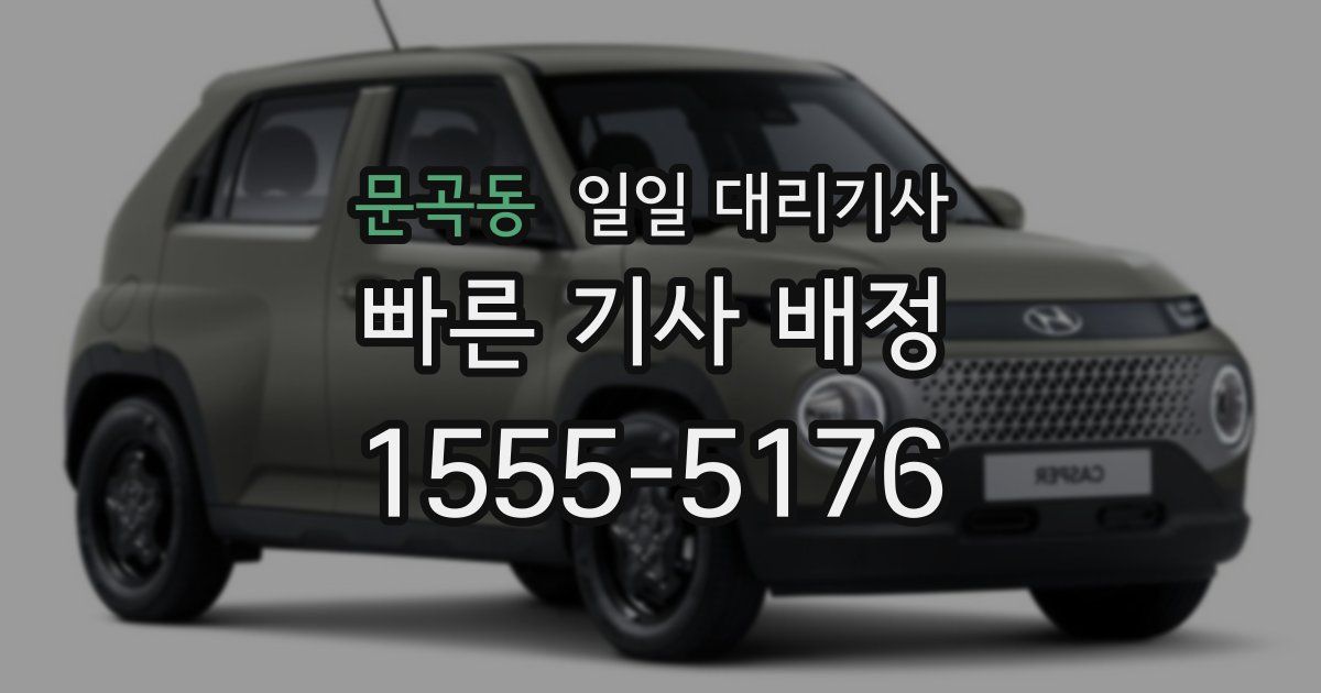문곡동 일일 대리기사