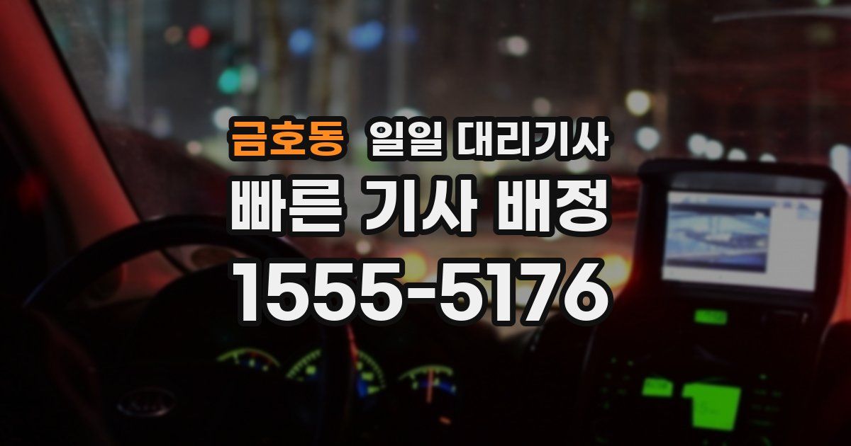 금호동 일일 대리기사