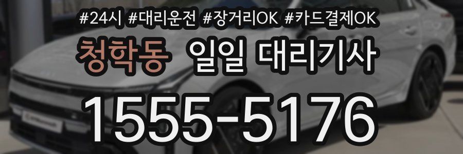 청학동 일일 대리기사