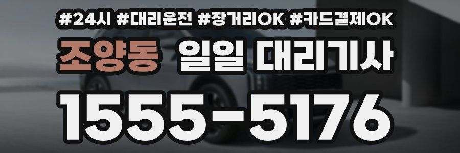 조양동 일일 대리기사