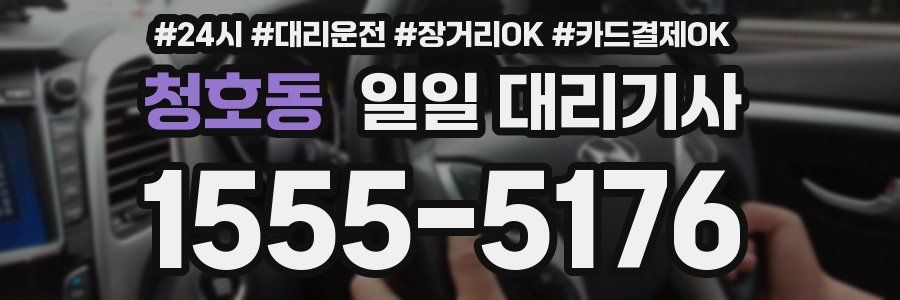 청호동 일일 대리기사
