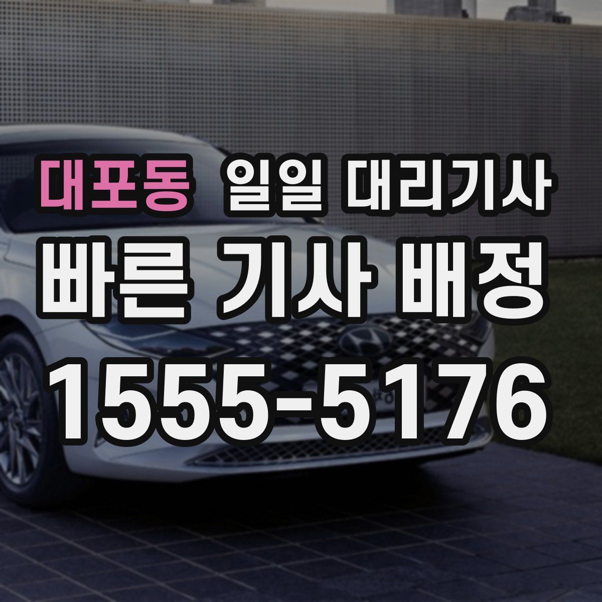 대포동 일일 대리기사