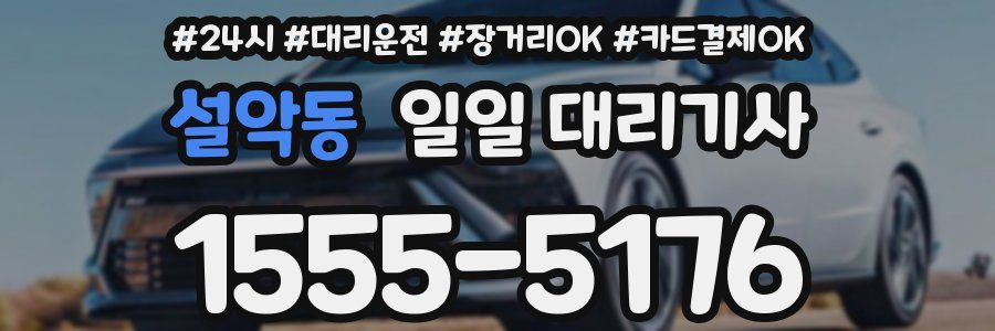 설악동 일일 대리기사