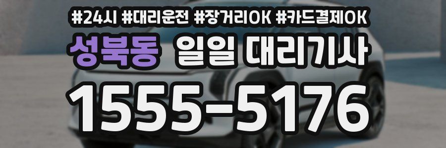 성북동 일일 대리기사