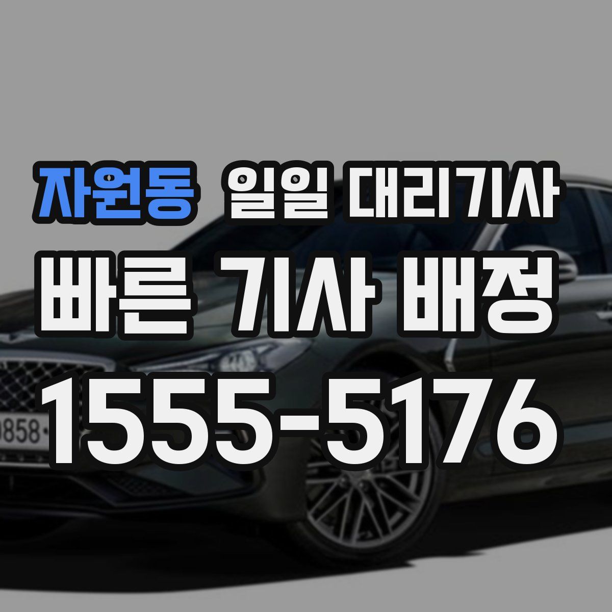 자원동 일일 대리기사