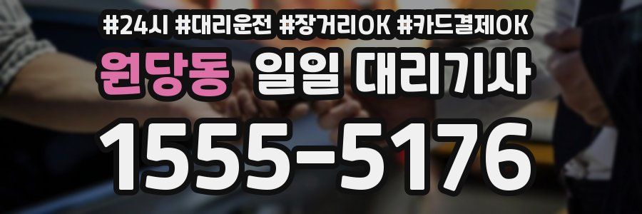 원당동 일일 대리기사
