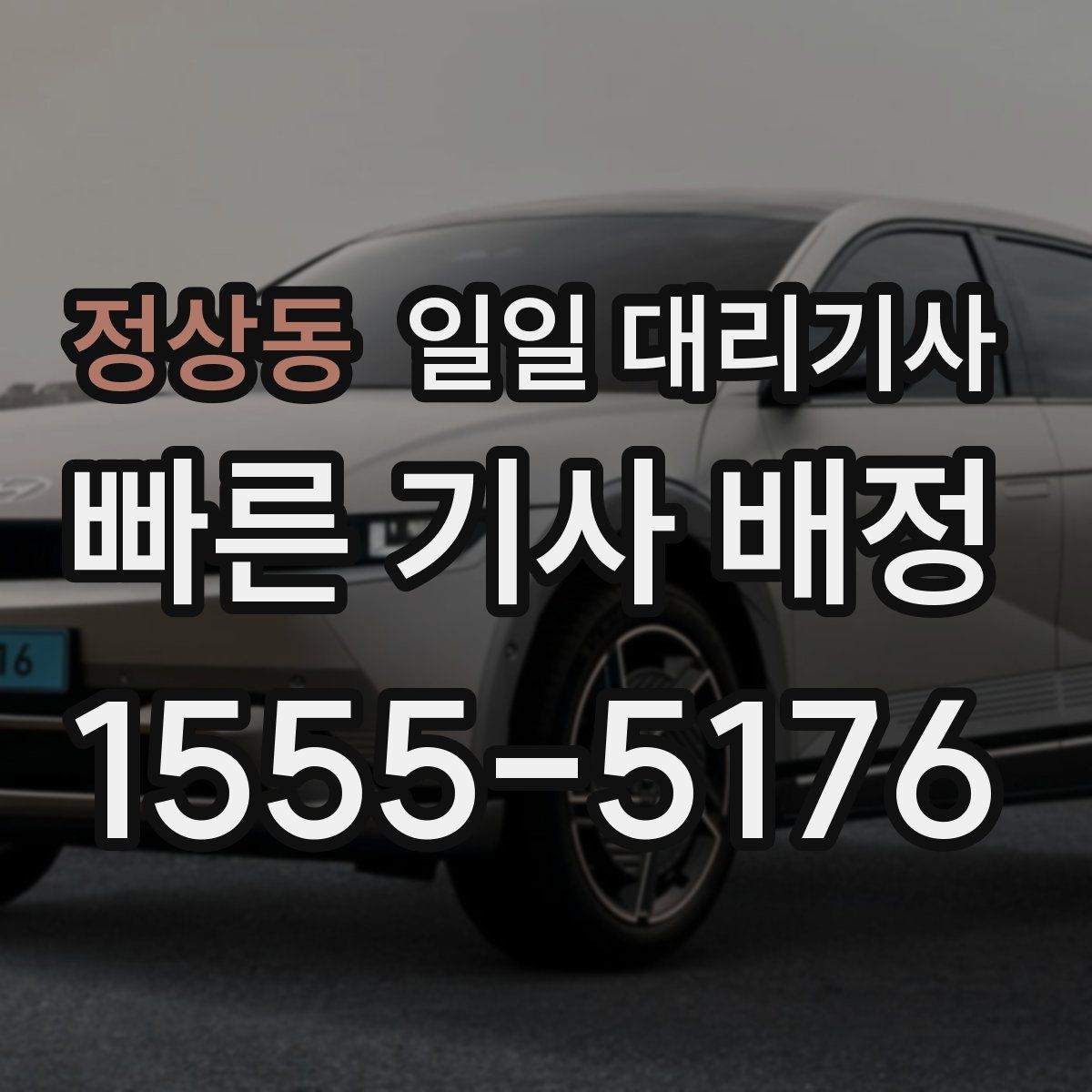 정상동 일일 대리기사