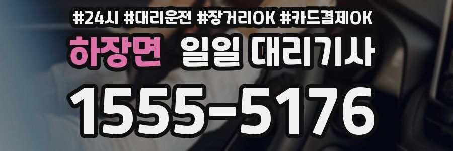 하장면 일일 대리기사