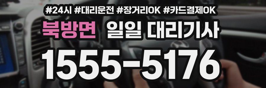 북방면 일일 대리기사