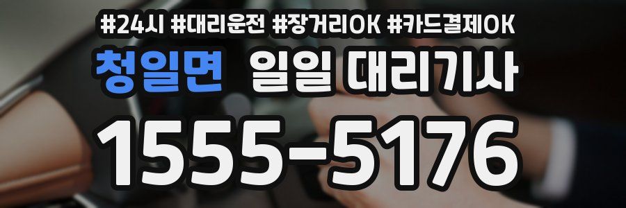 청일면 일일 대리기사