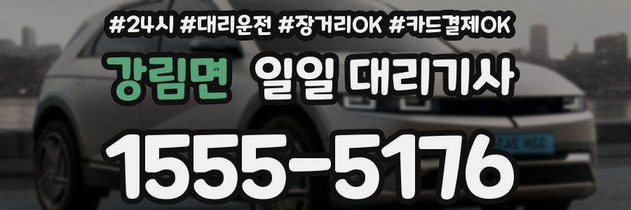강림면 일일 대리기사