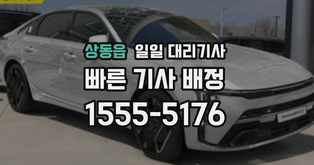 상동읍 일일 대리기사