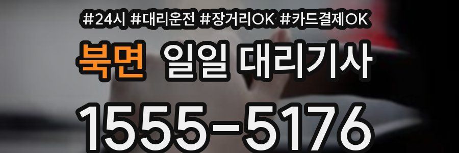 북면 일일 대리기사