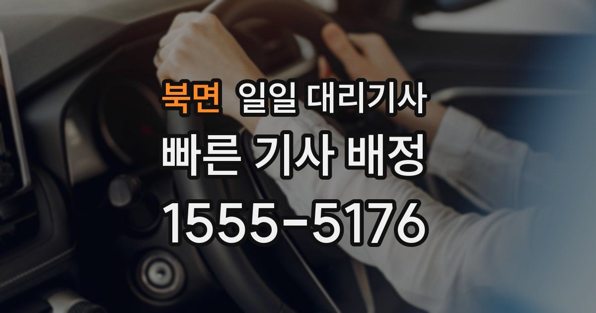북면 일일 대리기사